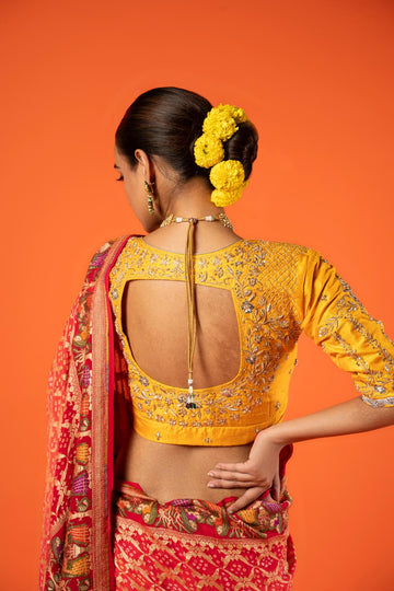 Back Handwork Blouse Designs